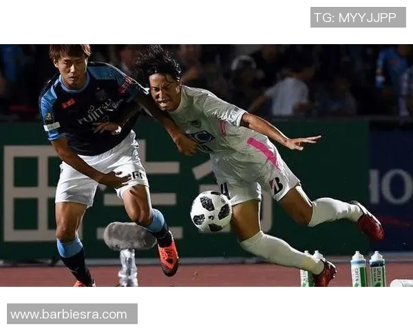 鸟栖沙岩vs喜悦