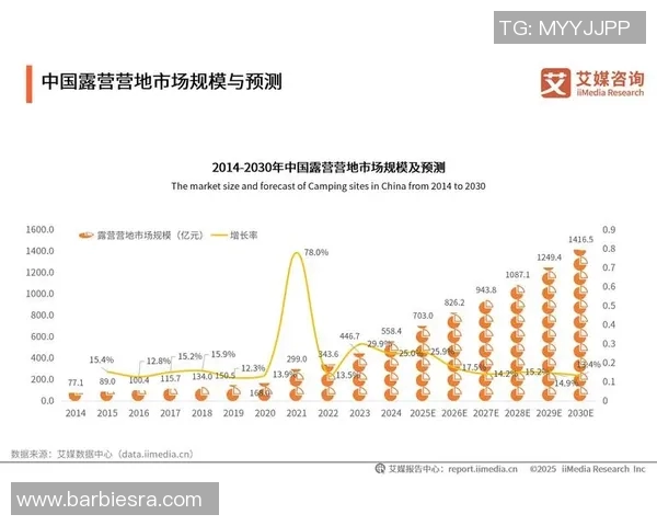网上直播足球比赛的盈利模式与市场前景分析探讨