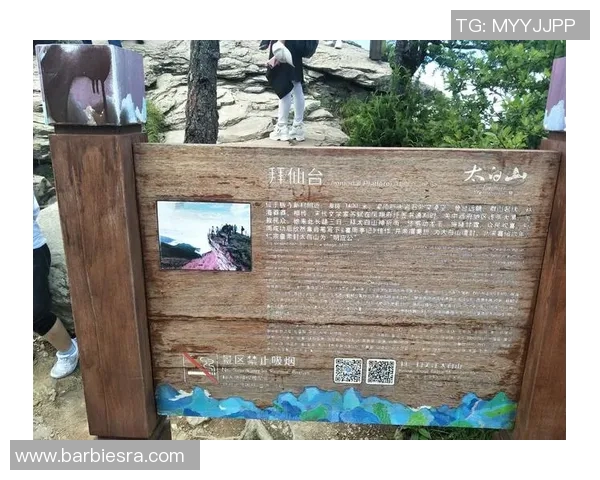 王冰玉的奋斗历程与成就探秘:从普通女孩到冰雪女王的华丽转身