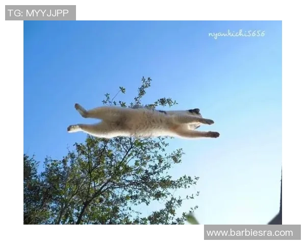 杰志与香港飞马激战正酣谁能在这场对决中笑到最后