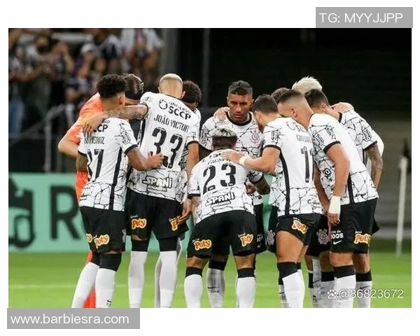 圣保罗与巴竞技对决前瞻分析及比赛结果预测探讨